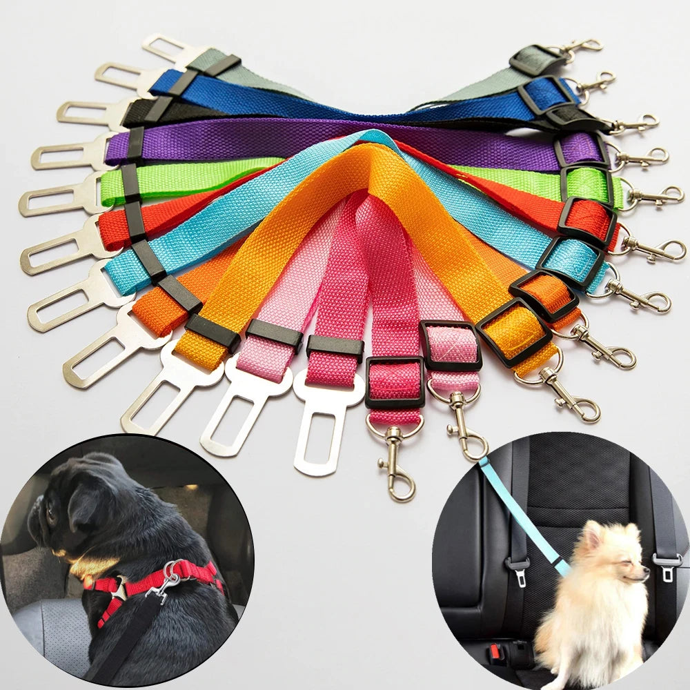 SecureTravel: Dog Seat Belt