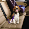 SecureTravel: Dog Seat Belt
