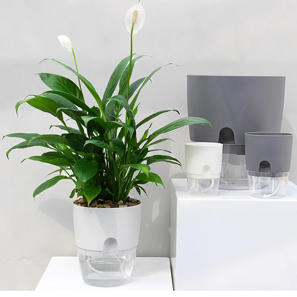 Fabehe Self Watering Planter