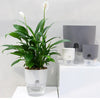Fabehe Self Watering Planter