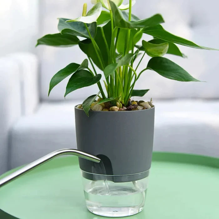 Fabehe Self Watering Planter