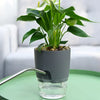 Fabehe Self Watering Planter