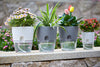 Fabehe Self Watering Planter