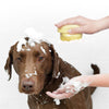 Fabehe Pet Shampoo Massager Brush - Grooming Scrubber