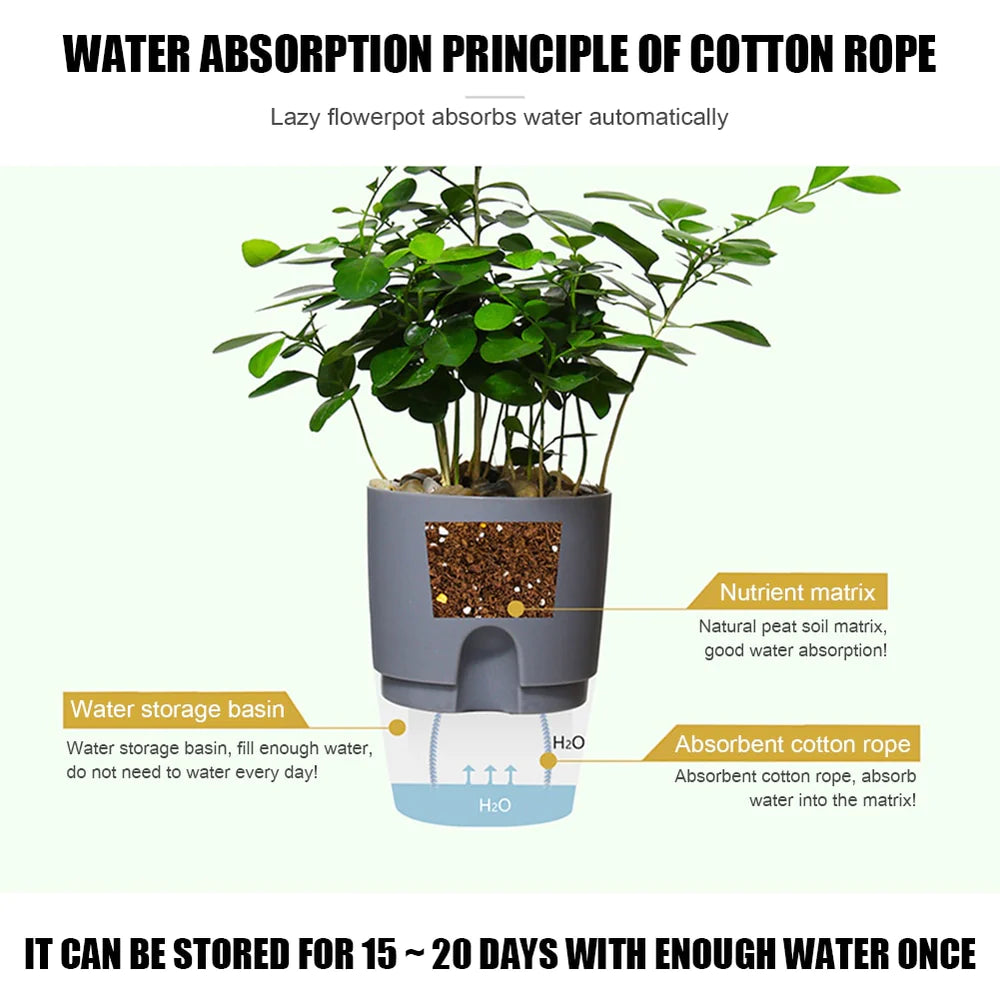 Fabehe Self Watering Planter