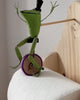 Load image into Gallery viewer, 🎄Early Christmas Sale🎄Creative Frog Riding Bicycle Toilet Paper Holder