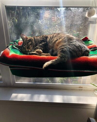 Fabehe Cat Hammock - Window Hanging Cat Bed