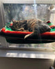 Load image into Gallery viewer, Fabehe Cat Hammock - Window Hanging Cat Bed