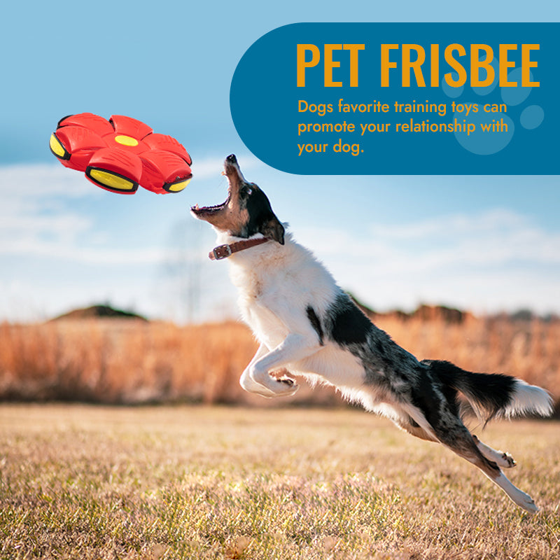 Fabehe 🐾Pet Toy Flying Saucer Ball