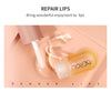 FullerLip™ - Instant Volume Lip Plumper Oil (Set of 2 for Day and Night)