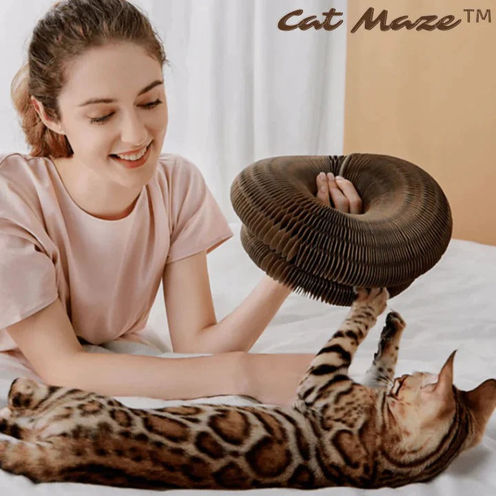 Fabehe Cat Toy fabehe-cat-toy