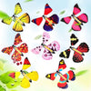 MagicFlyButterfly™-  Perfect With Any Gift!