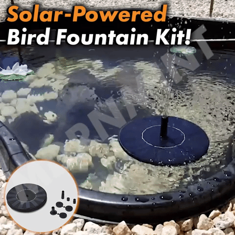 Solar-Powered Bird Fountain Kit - No Setup!
